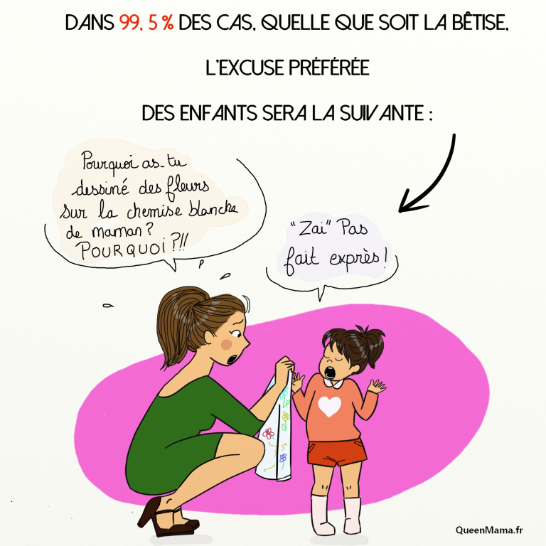 J’ai pas fait exprès ou La meilleure des excuses du monde Queenmama
